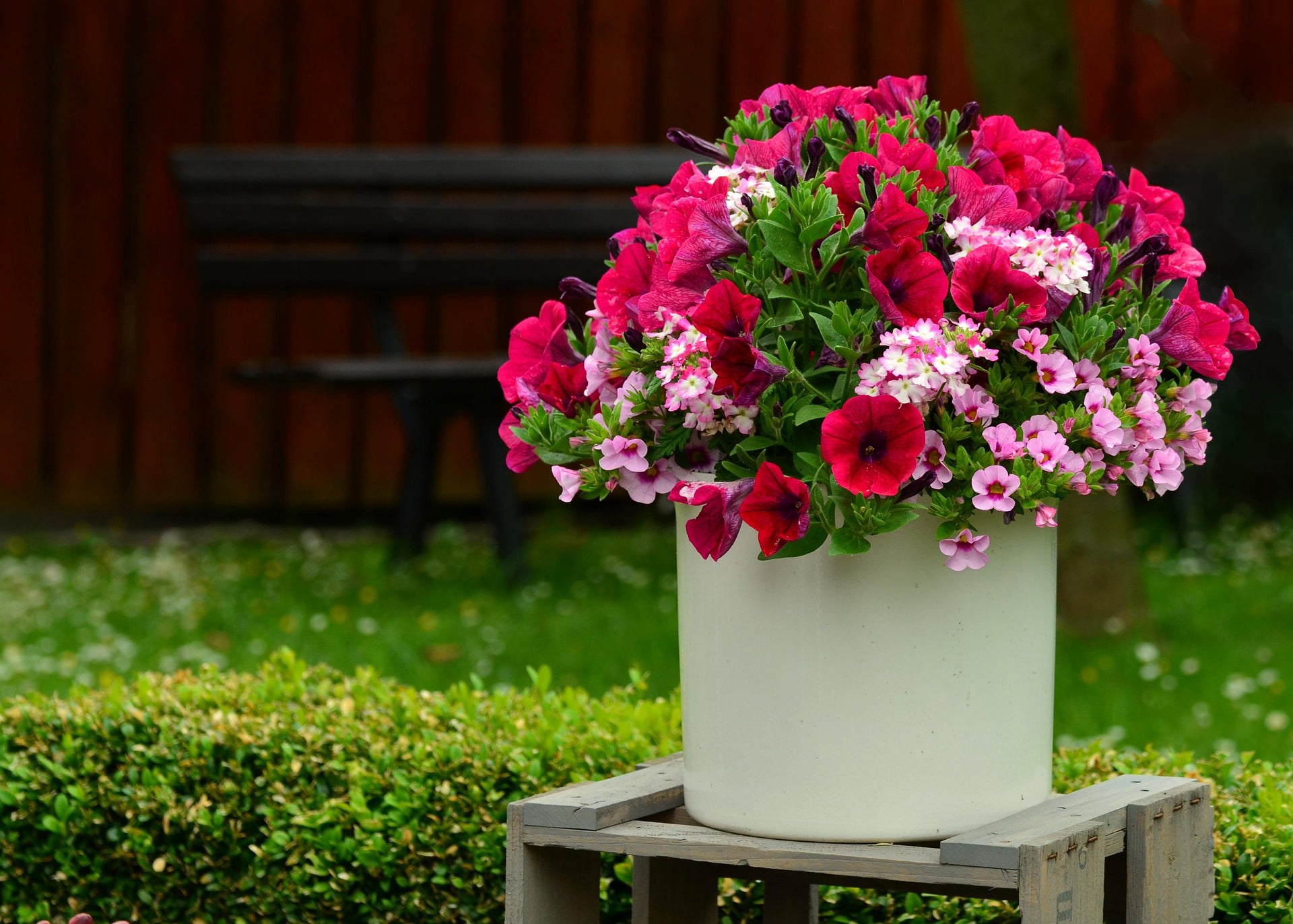 garden planters shop