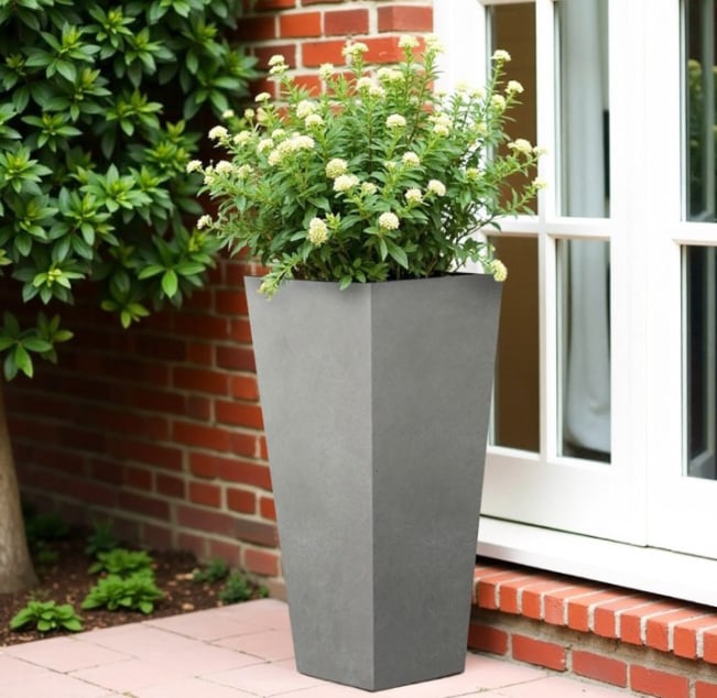 Buy planters online